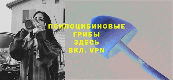 героин Алексин