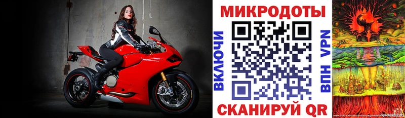Псилоцибиновые грибы Psilocybe  Купить закладки  Ужур 